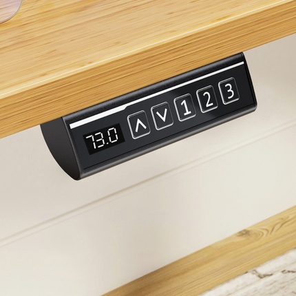 Electric Adjustable Standing Desk - Push-Button Height Adjust, Steel Frame