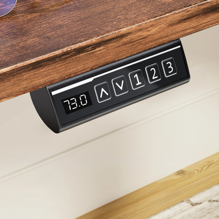 Electric Adjustable Standing Desk - Push-Button Height Adjust, Steel Frame
