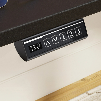 Electric Adjustable Standing Desk - Push-Button Height Adjust, Steel Frame