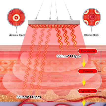LED Red Light Panel - 660nm & 850nm Full Body Therapy, 225 LEDs