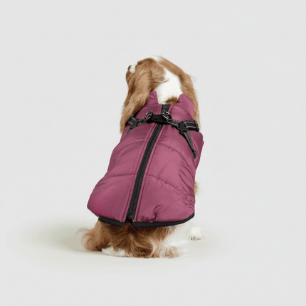 3-in-1 Dog Winter Jacket - Removable Liner, Windproof Cold Weather Coat