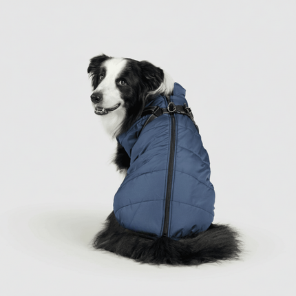 3-in-1 Dog Winter Jacket - Removable Liner, Windproof Cold Weather Coat