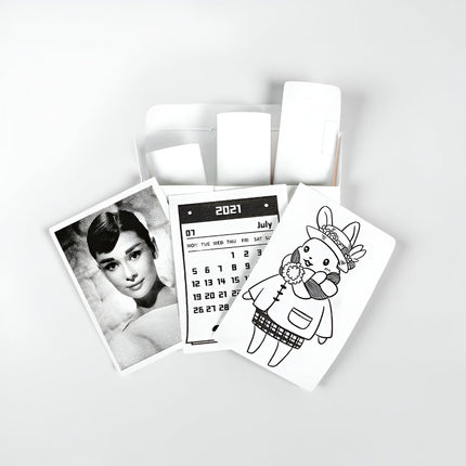 Label Maker - Portable Bluetooth Thermal Printer, Inkless Pocket Printer