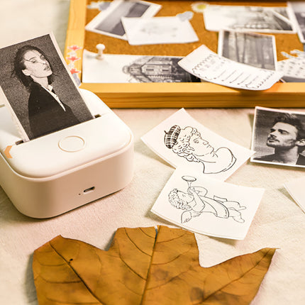 Label Maker - Portable Bluetooth Thermal Printer, Inkless Pocket Printer