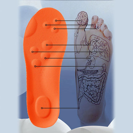 ManiSole Ergonomic Arch Support Insoles