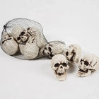 Mini Skeleton Skulls - 10-Piece Matched White Halloween Tabletop Decor